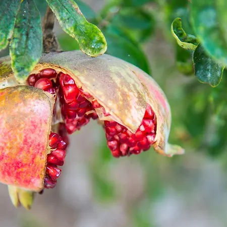 Vila Maravilla Piscina Climatizada *